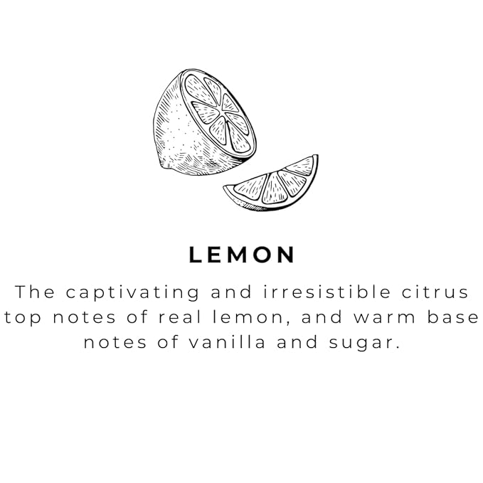 River Birch Lemon Scented Natural Hand Soap Refill - Image 3
