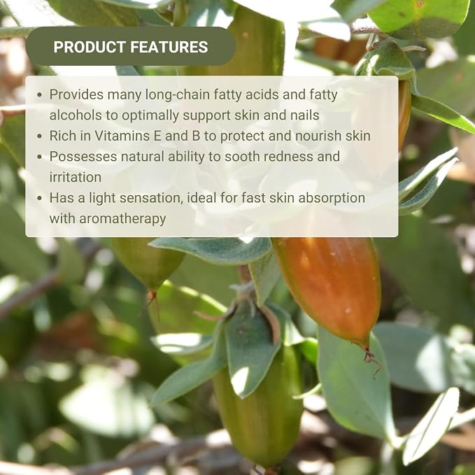Jojoba Oil - Direct from EIR Oils' Farm in Israel - 100% Pure Carrier Oil - Image 5