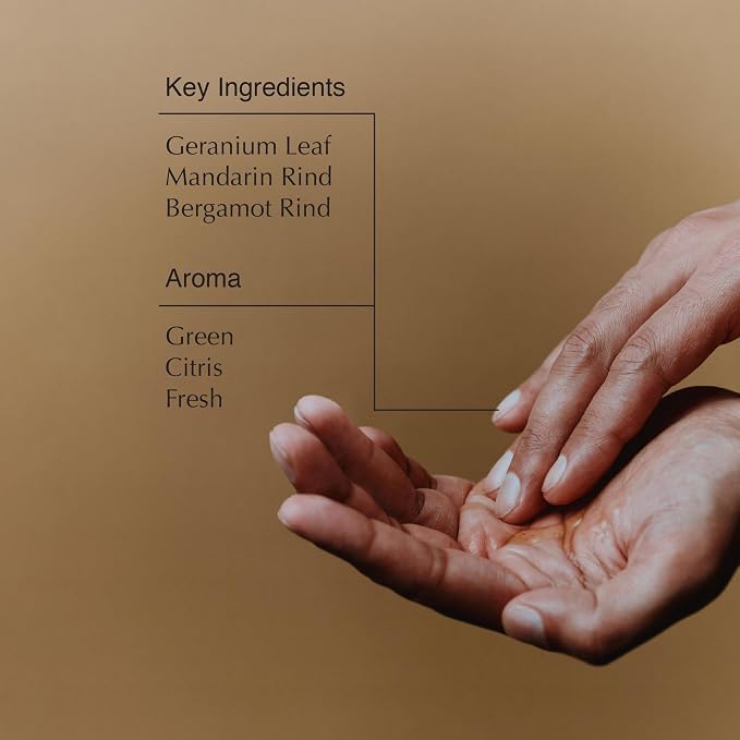Aesop Geranium Leaf Body Cleanser + Refill | Invigorating Cleansing Gel | - Image 3