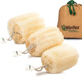 Waritex Premium Natural Egyptian Loofah Sponges, Made from 100% Natural Organic by WARITEX