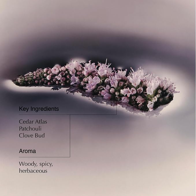 Aesop Eleos Nourishing Body Cleanser | Hydrating Ingredients - Image 3