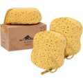 myHomeBody Bath Sponge, Foam Loofah, Body Scrubber by myHomeBody