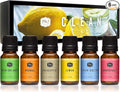 P&J Trading Fragrance Oil Clean Set | Fresh Cotton, Grapefruit, Fresh Cut Grass by PJTrading