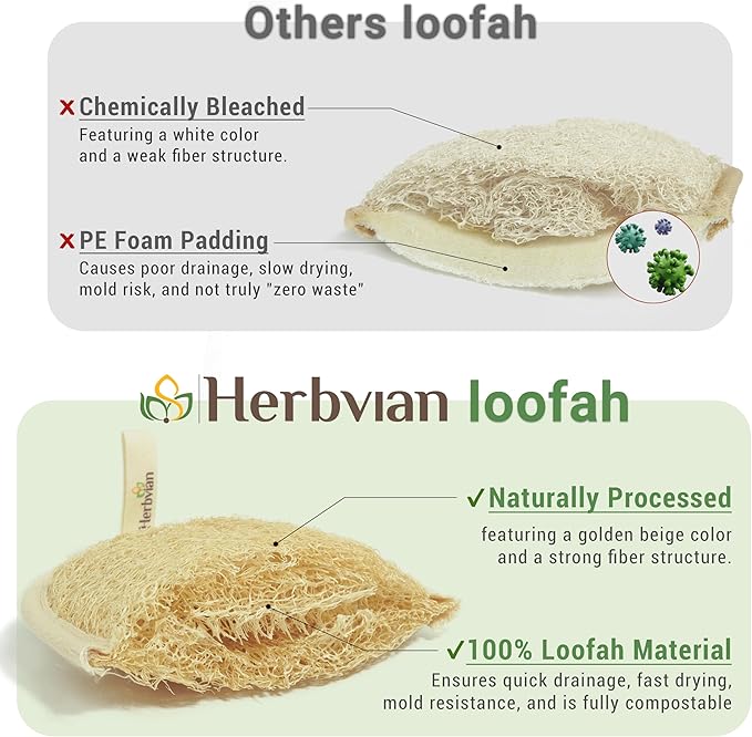 Vietnamese Natural Loofah Exfoliating Body Scrubber Pads, 100% Plant-Based - Image 3