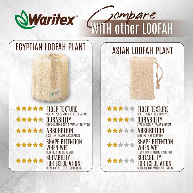 Waritex Premium Natural Egyptian Loofah Sponges, Made from 100% Natural Organic - Image 3