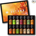 P&J Trading Fragrance Oil Autumn Set of 14 Fragrance Oils by PJTrading